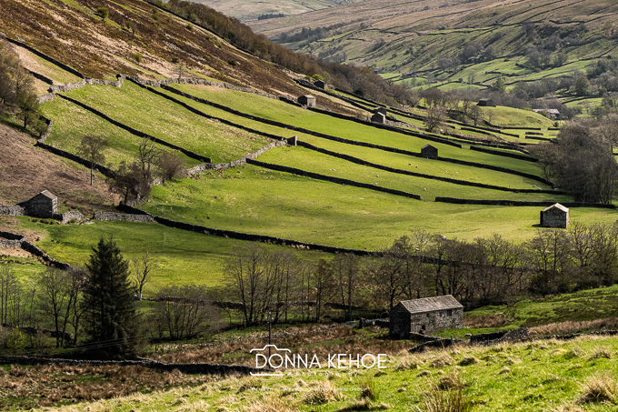Yorkshire 2026-14